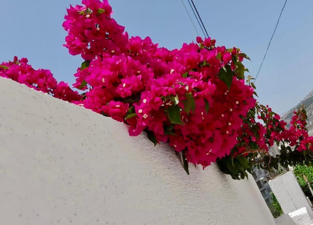 Niko Apartament Sarandë Esterno foto